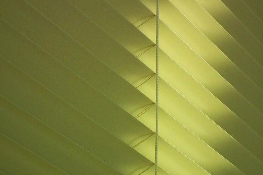 Shutter